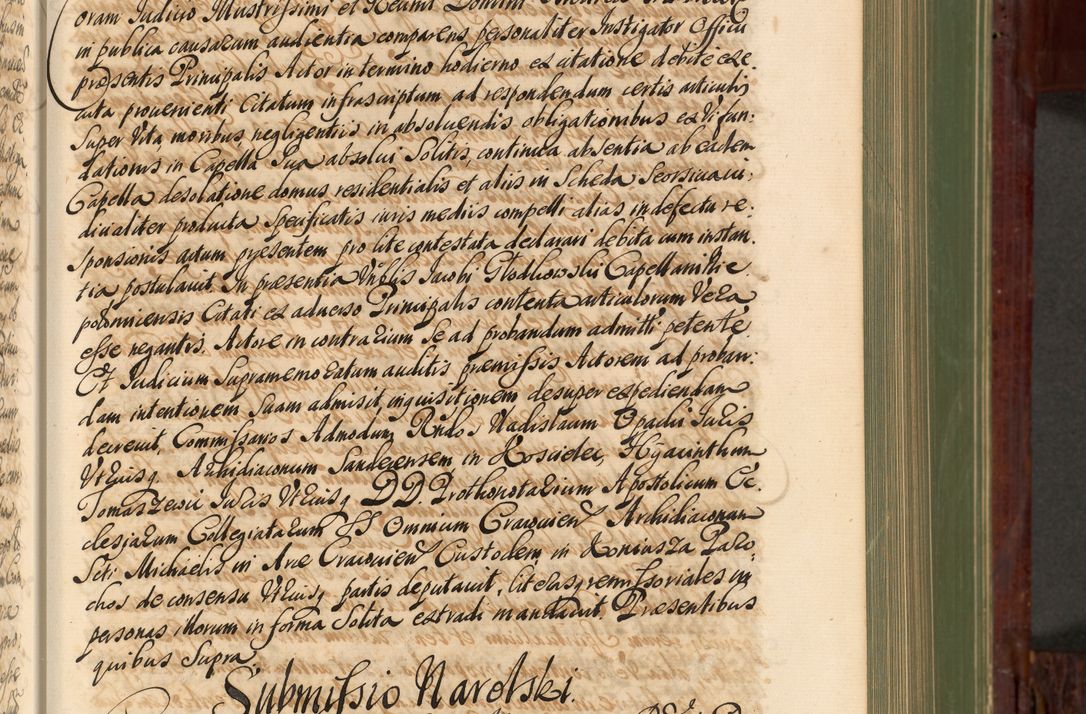 Zdjęcie nr 202 dla obiektu archiwalnego: Acta actorum episcopalium R. D. Andreae Trzebicki, episcopi Cracoviensis et ducis Severiae de 1679. Volumen VIII