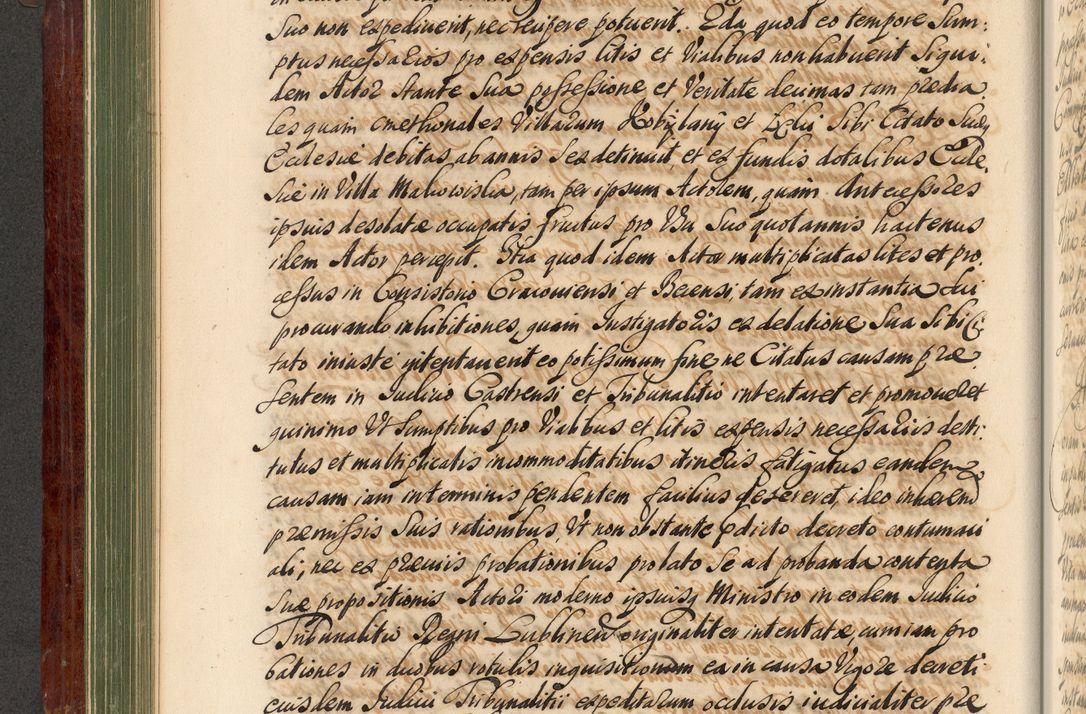 Zdjęcie nr 197 dla obiektu archiwalnego: Acta actorum episcopalium R. D. Andreae Trzebicki, episcopi Cracoviensis et ducis Severiae de 1679. Volumen VIII