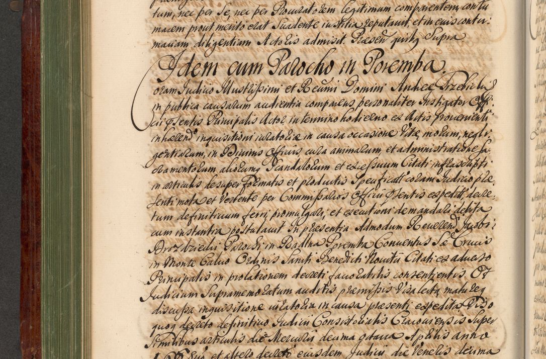 Zdjęcie nr 381 dla obiektu archiwalnego: Acta actorum episcopalium R. D. Andreae Trzebicki, episcopi Cracoviensis et ducis Severiae de 1679. Volumen VIII