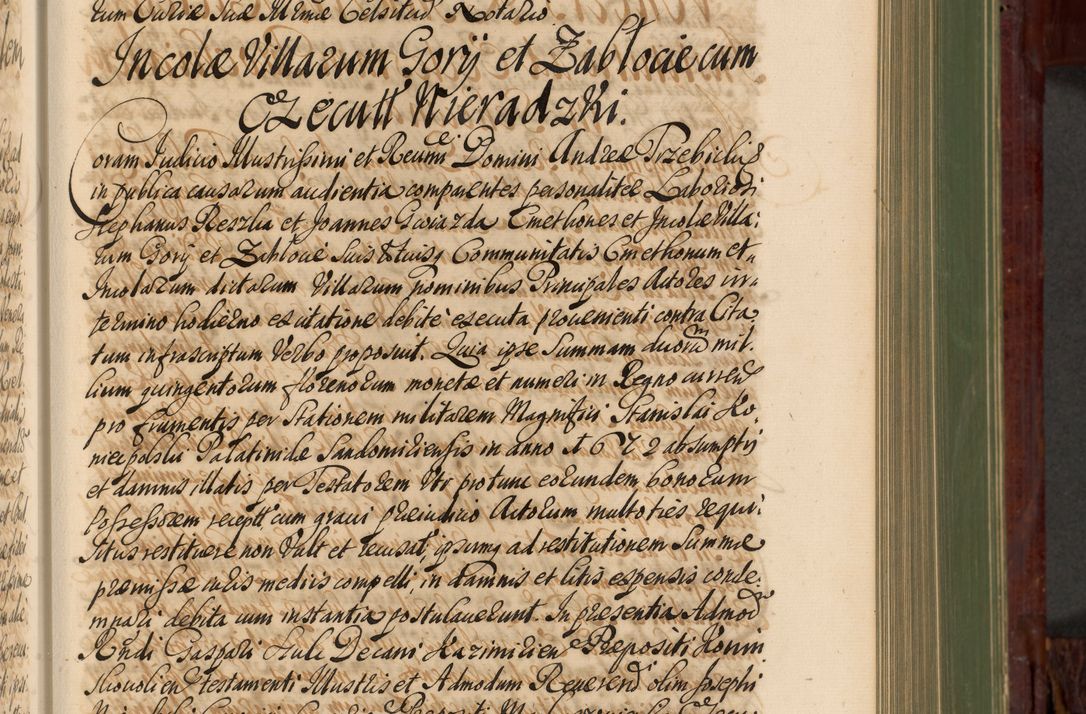 Zdjęcie nr 374 dla obiektu archiwalnego: Acta actorum episcopalium R. D. Andreae Trzebicki, episcopi Cracoviensis et ducis Severiae de 1679. Volumen VIII