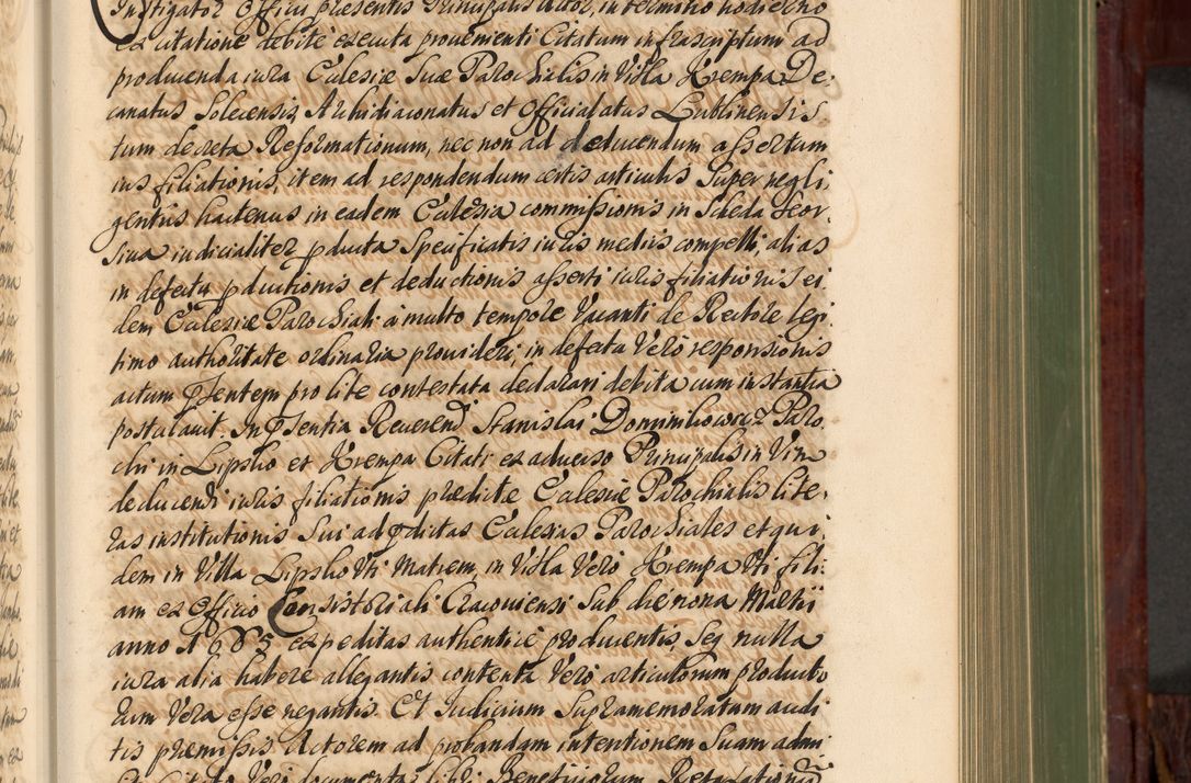 Zdjęcie nr 370 dla obiektu archiwalnego: Acta actorum episcopalium R. D. Andreae Trzebicki, episcopi Cracoviensis et ducis Severiae de 1679. Volumen VIII