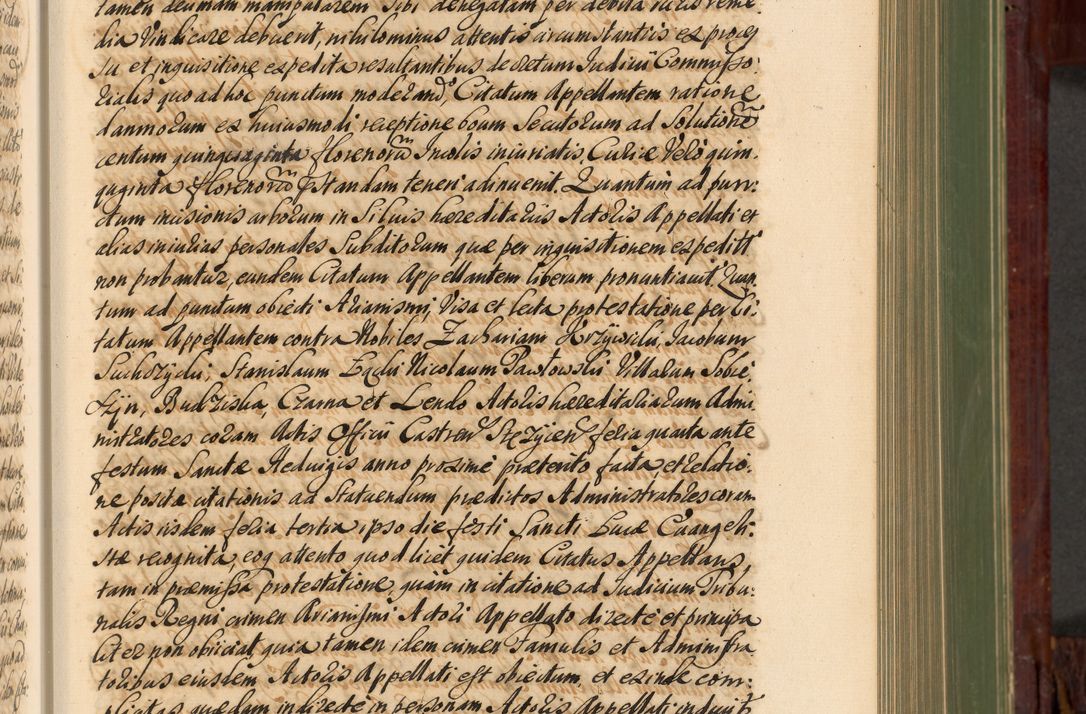 Zdjęcie nr 358 dla obiektu archiwalnego: Acta actorum episcopalium R. D. Andreae Trzebicki, episcopi Cracoviensis et ducis Severiae de 1679. Volumen VIII