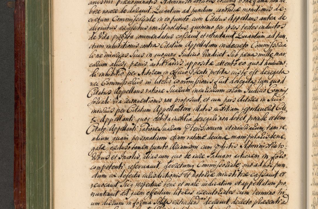 Zdjęcie nr 359 dla obiektu archiwalnego: Acta actorum episcopalium R. D. Andreae Trzebicki, episcopi Cracoviensis et ducis Severiae de 1679. Volumen VIII