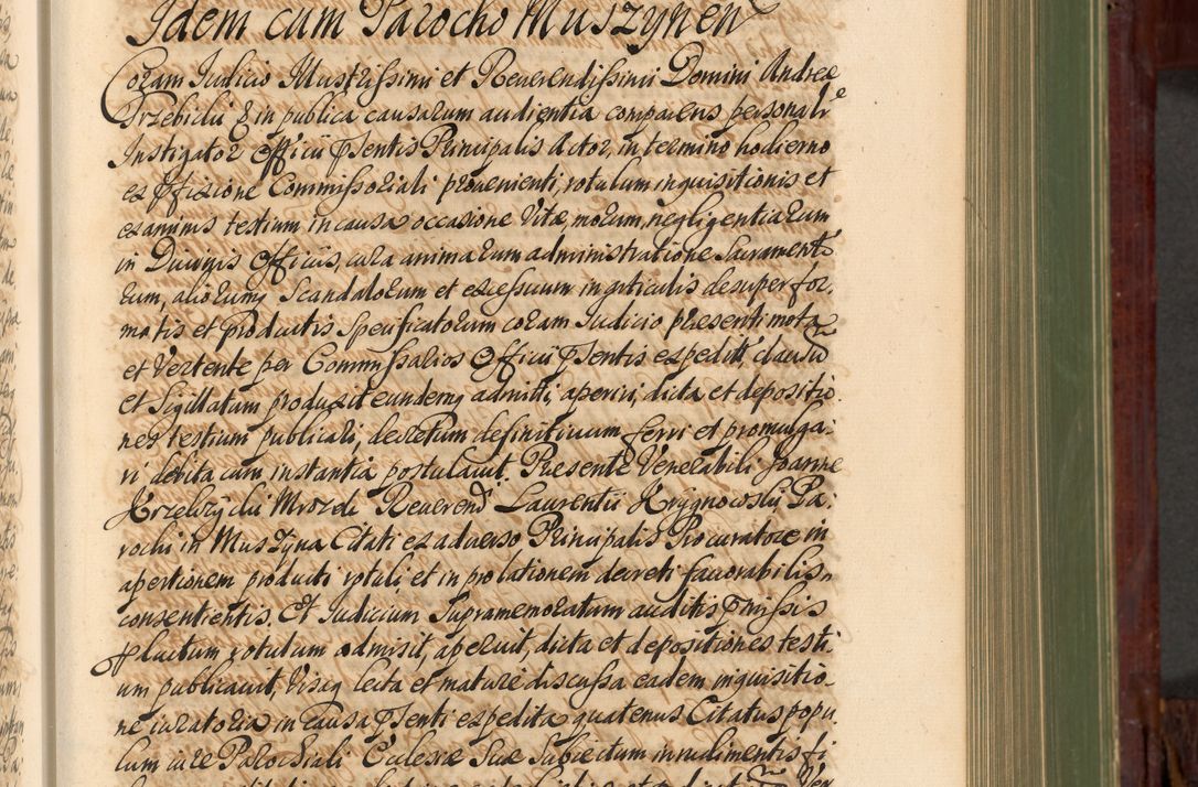 Zdjęcie nr 352 dla obiektu archiwalnego: Acta actorum episcopalium R. D. Andreae Trzebicki, episcopi Cracoviensis et ducis Severiae de 1679. Volumen VIII