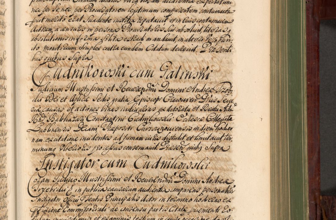 Zdjęcie nr 348 dla obiektu archiwalnego: Acta actorum episcopalium R. D. Andreae Trzebicki, episcopi Cracoviensis et ducis Severiae de 1679. Volumen VIII