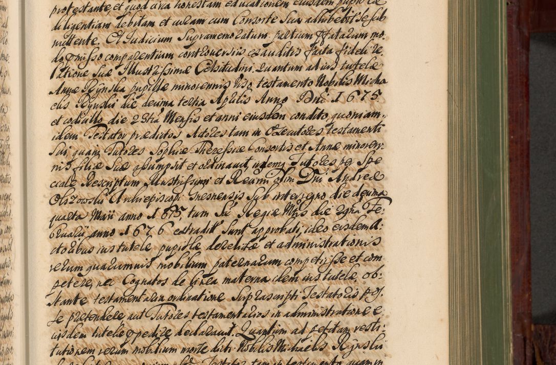 Zdjęcie nr 342 dla obiektu archiwalnego: Acta actorum episcopalium R. D. Andreae Trzebicki, episcopi Cracoviensis et ducis Severiae de 1679. Volumen VIII