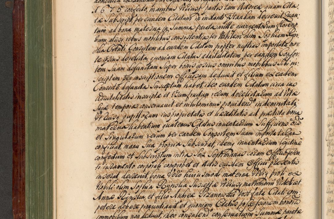 Zdjęcie nr 343 dla obiektu archiwalnego: Acta actorum episcopalium R. D. Andreae Trzebicki, episcopi Cracoviensis et ducis Severiae de 1679. Volumen VIII