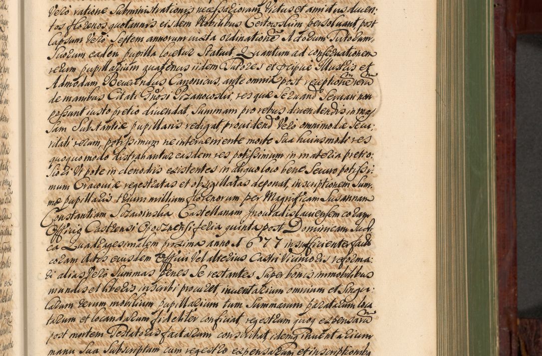 Zdjęcie nr 344 dla obiektu archiwalnego: Acta actorum episcopalium R. D. Andreae Trzebicki, episcopi Cracoviensis et ducis Severiae de 1679. Volumen VIII