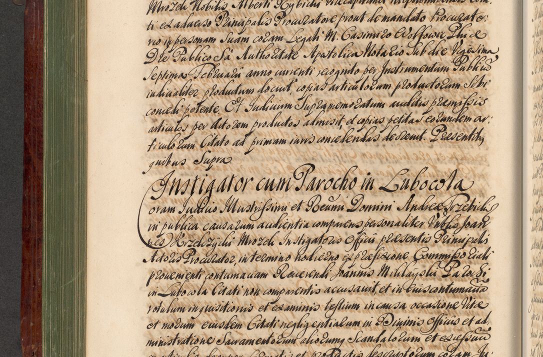 Zdjęcie nr 313 dla obiektu archiwalnego: Acta actorum episcopalium R. D. Andreae Trzebicki, episcopi Cracoviensis et ducis Severiae de 1679. Volumen VIII