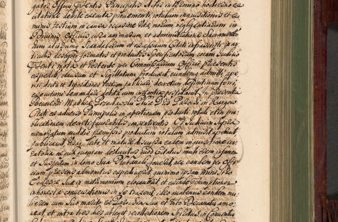 Zdjęcie nr 304 dla obiektu archiwalnego: Acta actorum episcopalium R. D. Andreae Trzebicki, episcopi Cracoviensis et ducis Severiae de 1679. Volumen VIII