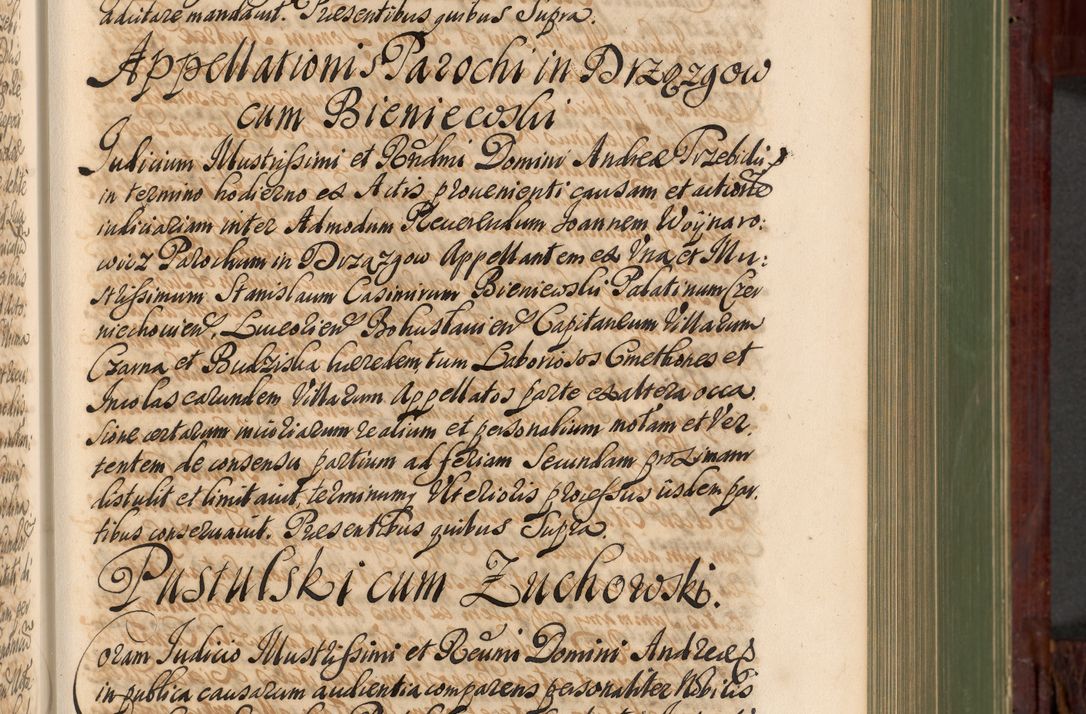 Zdjęcie nr 300 dla obiektu archiwalnego: Acta actorum episcopalium R. D. Andreae Trzebicki, episcopi Cracoviensis et ducis Severiae de 1679. Volumen VIII