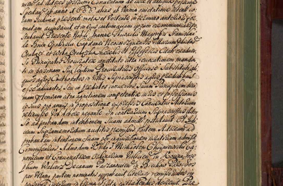 Zdjęcie nr 294 dla obiektu archiwalnego: Acta actorum episcopalium R. D. Andreae Trzebicki, episcopi Cracoviensis et ducis Severiae de 1679. Volumen VIII