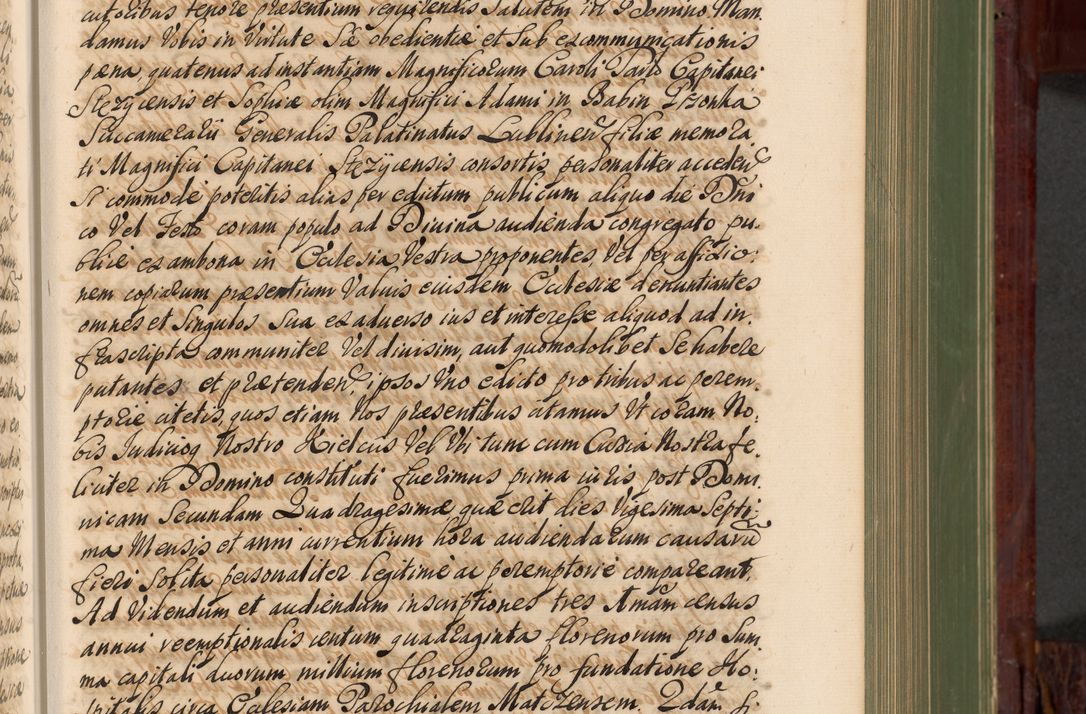 Zdjęcie nr 276 dla obiektu archiwalnego: Acta actorum episcopalium R. D. Andreae Trzebicki, episcopi Cracoviensis et ducis Severiae de 1679. Volumen VIII