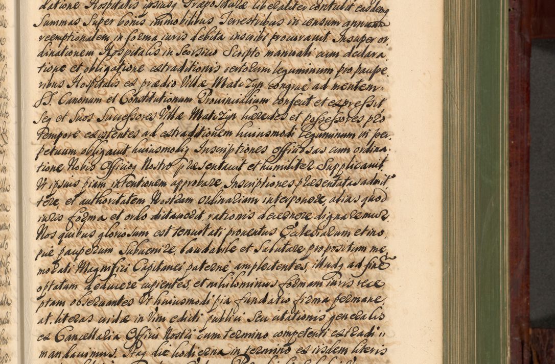 Zdjęcie nr 274 dla obiektu archiwalnego: Acta actorum episcopalium R. D. Andreae Trzebicki, episcopi Cracoviensis et ducis Severiae de 1679. Volumen VIII