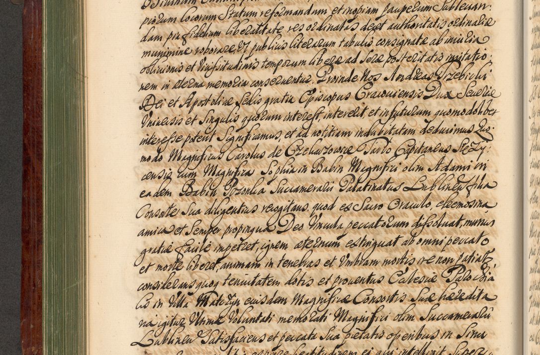 Zdjęcie nr 273 dla obiektu archiwalnego: Acta actorum episcopalium R. D. Andreae Trzebicki, episcopi Cracoviensis et ducis Severiae de 1679. Volumen VIII