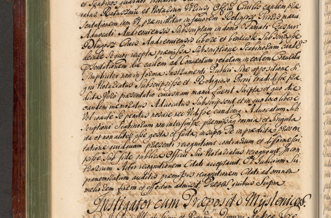 Zdjęcie nr 257 dla obiektu archiwalnego: Acta actorum episcopalium R. D. Andreae Trzebicki, episcopi Cracoviensis et ducis Severiae de 1679. Volumen VIII