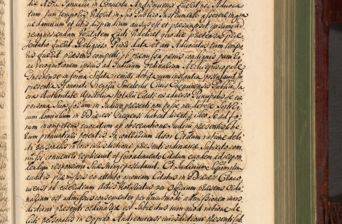 Zdjęcie nr 256 dla obiektu archiwalnego: Acta actorum episcopalium R. D. Andreae Trzebicki, episcopi Cracoviensis et ducis Severiae de 1679. Volumen VIII