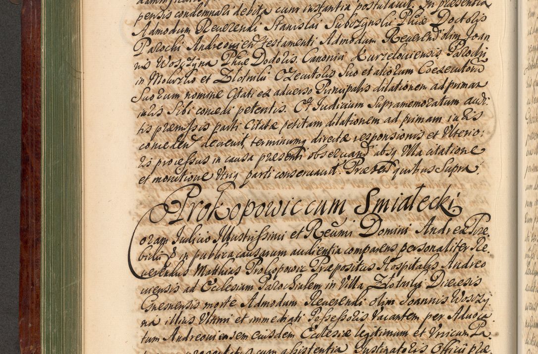 Zdjęcie nr 255 dla obiektu archiwalnego: Acta actorum episcopalium R. D. Andreae Trzebicki, episcopi Cracoviensis et ducis Severiae de 1679. Volumen VIII