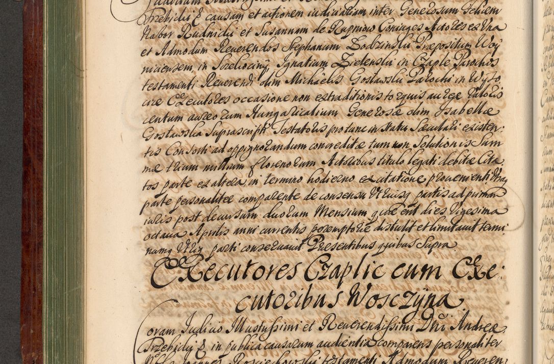 Zdjęcie nr 249 dla obiektu archiwalnego: Acta actorum episcopalium R. D. Andreae Trzebicki, episcopi Cracoviensis et ducis Severiae de 1679. Volumen VIII