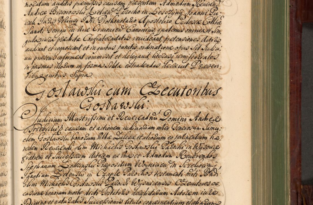 Zdjęcie nr 248 dla obiektu archiwalnego: Acta actorum episcopalium R. D. Andreae Trzebicki, episcopi Cracoviensis et ducis Severiae de 1679. Volumen VIII