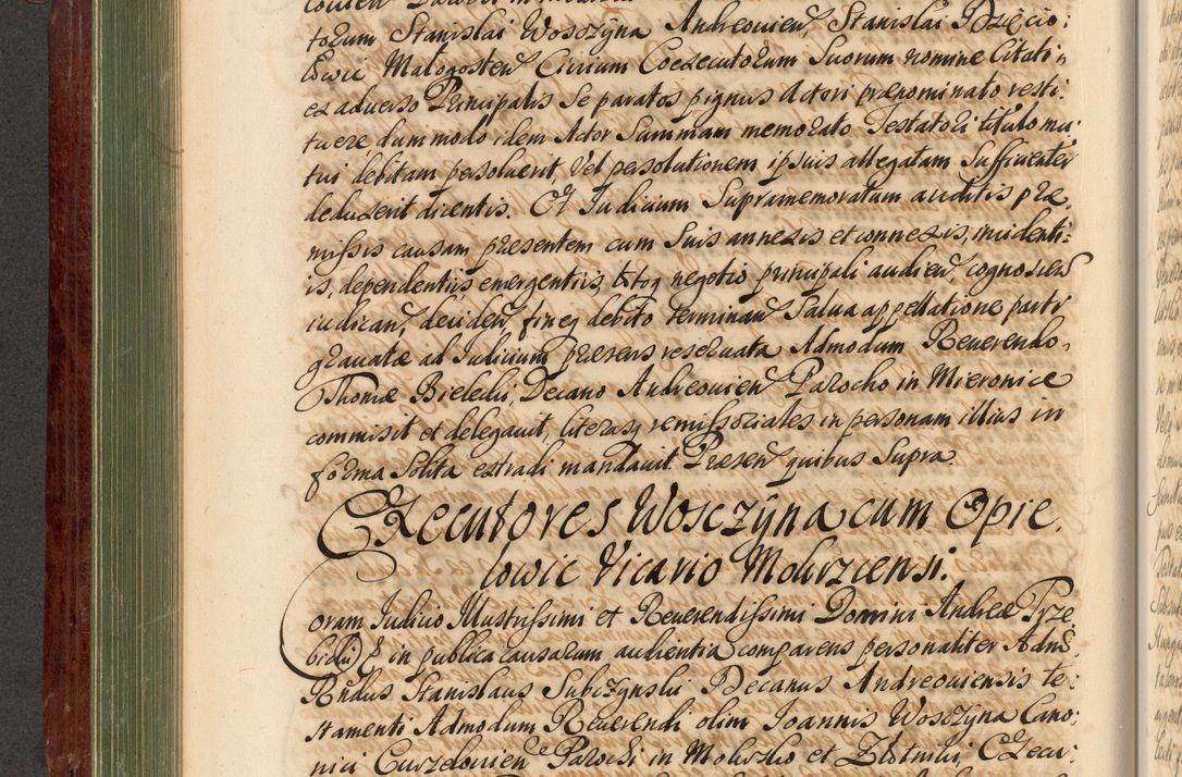 Zdjęcie nr 251 dla obiektu archiwalnego: Acta actorum episcopalium R. D. Andreae Trzebicki, episcopi Cracoviensis et ducis Severiae de 1679. Volumen VIII