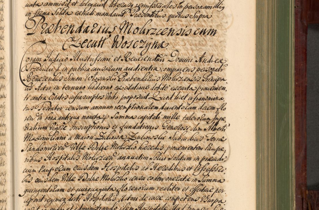 Zdjęcie nr 254 dla obiektu archiwalnego: Acta actorum episcopalium R. D. Andreae Trzebicki, episcopi Cracoviensis et ducis Severiae de 1679. Volumen VIII