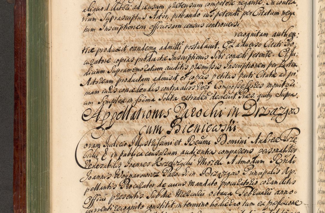 Zdjęcie nr 245 dla obiektu archiwalnego: Acta actorum episcopalium R. D. Andreae Trzebicki, episcopi Cracoviensis et ducis Severiae de 1679. Volumen VIII