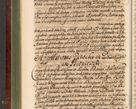 Zdjęcie nr 245 dla obiektu archiwalnego: Acta actorum episcopalium R. D. Andreae Trzebicki, episcopi Cracoviensis et ducis Severiae de 1679. Volumen VIII