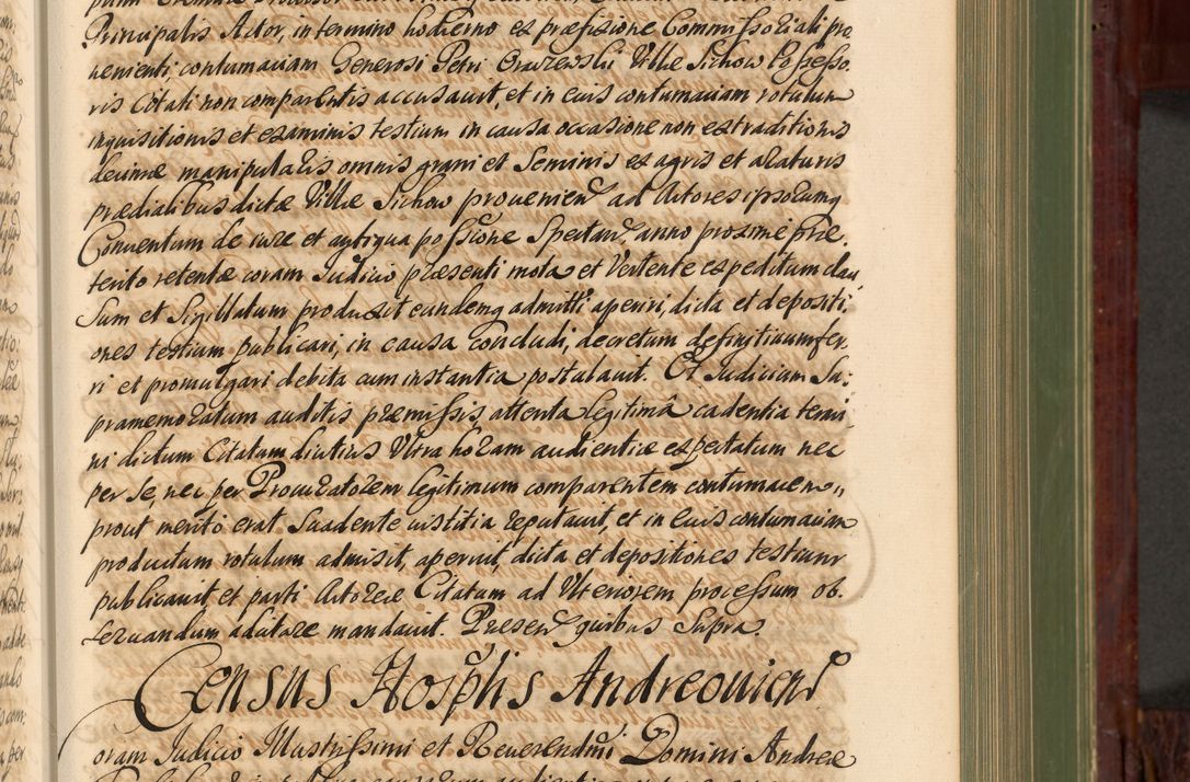 Zdjęcie nr 244 dla obiektu archiwalnego: Acta actorum episcopalium R. D. Andreae Trzebicki, episcopi Cracoviensis et ducis Severiae de 1679. Volumen VIII