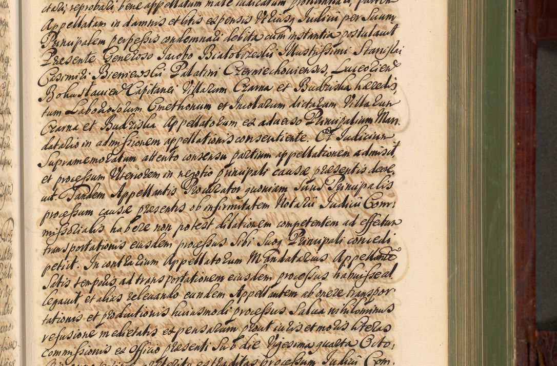 Zdjęcie nr 246 dla obiektu archiwalnego: Acta actorum episcopalium R. D. Andreae Trzebicki, episcopi Cracoviensis et ducis Severiae de 1679. Volumen VIII
