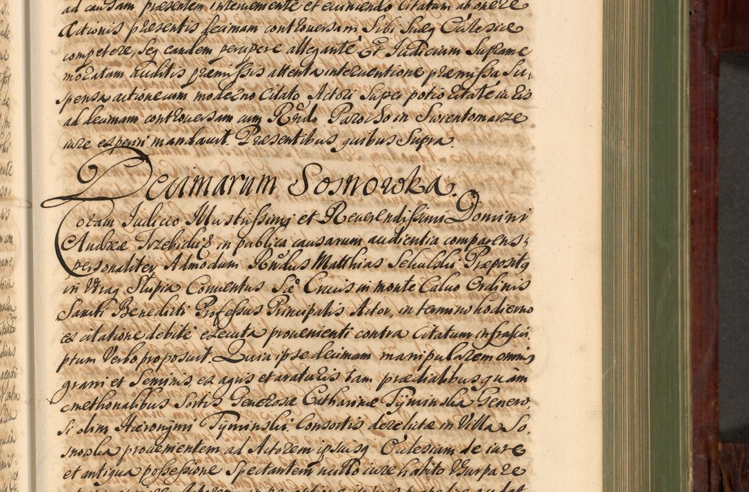 Zdjęcie nr 242 dla obiektu archiwalnego: Acta actorum episcopalium R. D. Andreae Trzebicki, episcopi Cracoviensis et ducis Severiae de 1679. Volumen VIII