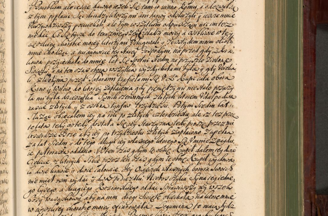 Zdjęcie nr 228 dla obiektu archiwalnego: Acta actorum episcopalium R. D. Andreae Trzebicki, episcopi Cracoviensis et ducis Severiae de 1679. Volumen VIII