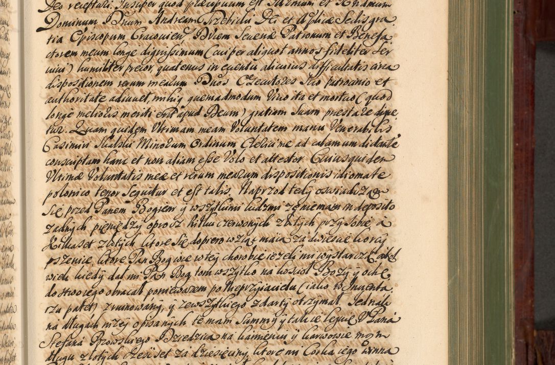 Zdjęcie nr 224 dla obiektu archiwalnego: Acta actorum episcopalium R. D. Andreae Trzebicki, episcopi Cracoviensis et ducis Severiae de 1679. Volumen VIII