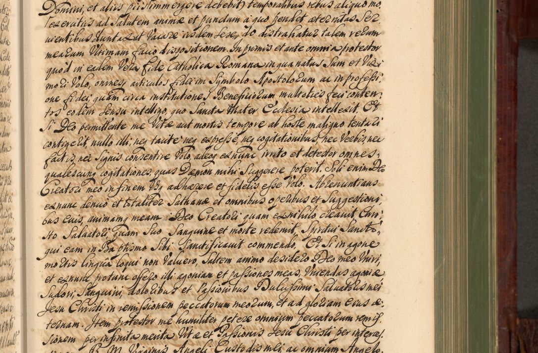 Zdjęcie nr 222 dla obiektu archiwalnego: Acta actorum episcopalium R. D. Andreae Trzebicki, episcopi Cracoviensis et ducis Severiae de 1679. Volumen VIII
