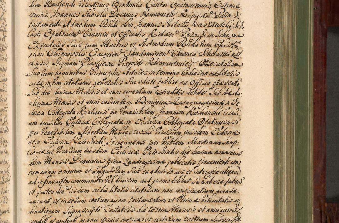 Zdjęcie nr 220 dla obiektu archiwalnego: Acta actorum episcopalium R. D. Andreae Trzebicki, episcopi Cracoviensis et ducis Severiae de 1679. Volumen VIII