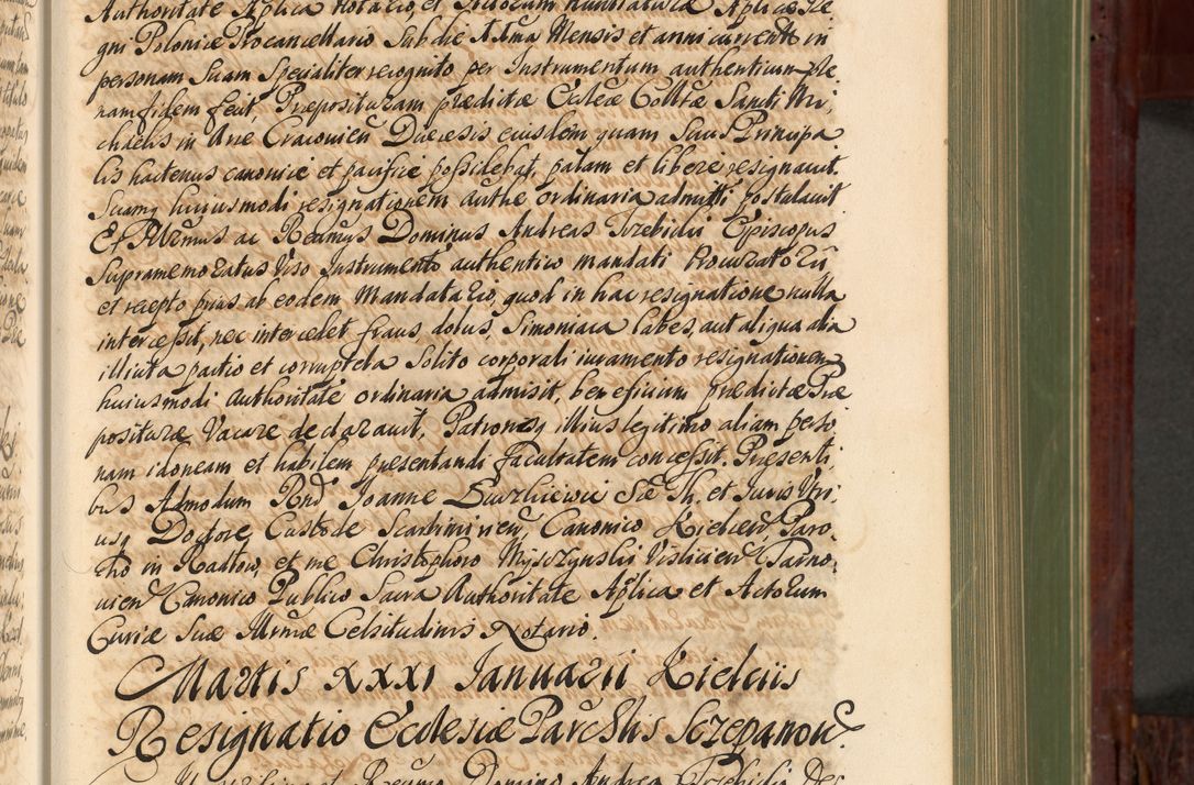 Zdjęcie nr 204 dla obiektu archiwalnego: Acta actorum episcopalium R. D. Andreae Trzebicki, episcopi Cracoviensis et ducis Severiae de 1679. Volumen VIII