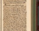 Zdjęcie nr 578 dla obiektu archiwalnego: Acta actorum episcopalium R. D. Andreae Trzebicki, episcopi Cracoviensis et ducis Severiae de 1679. Volumen VIII