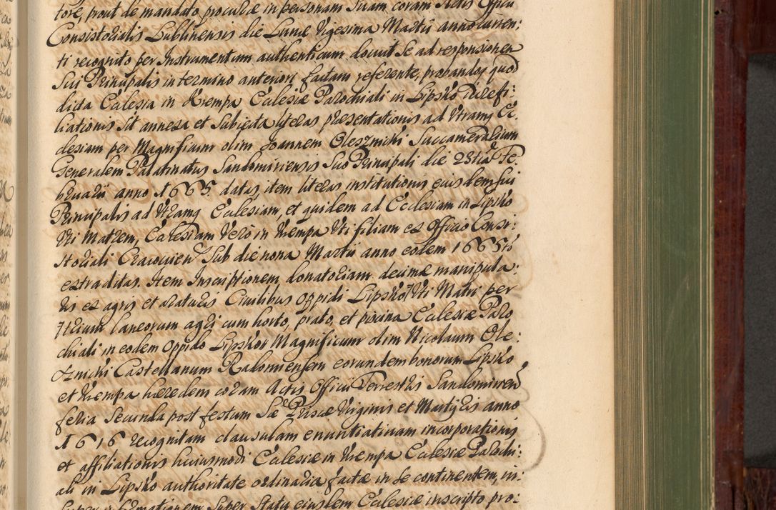 Zdjęcie nr 552 dla obiektu archiwalnego: Acta actorum episcopalium R. D. Andreae Trzebicki, episcopi Cracoviensis et ducis Severiae de 1679. Volumen VIII