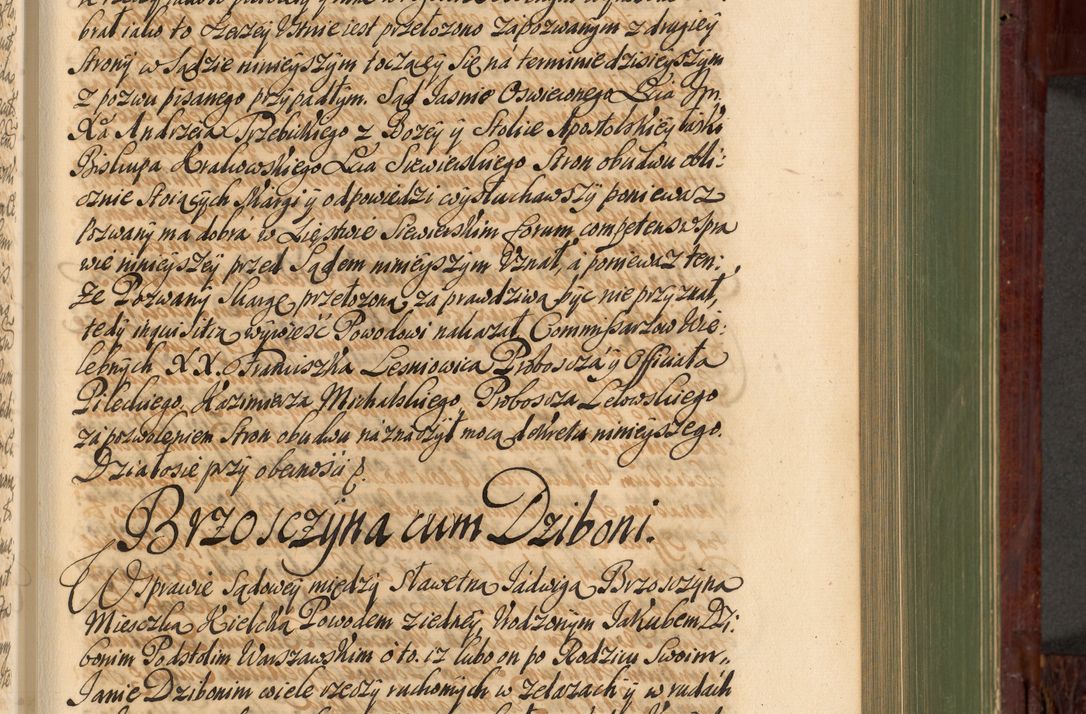 Zdjęcie nr 550 dla obiektu archiwalnego: Acta actorum episcopalium R. D. Andreae Trzebicki, episcopi Cracoviensis et ducis Severiae de 1679. Volumen VIII
