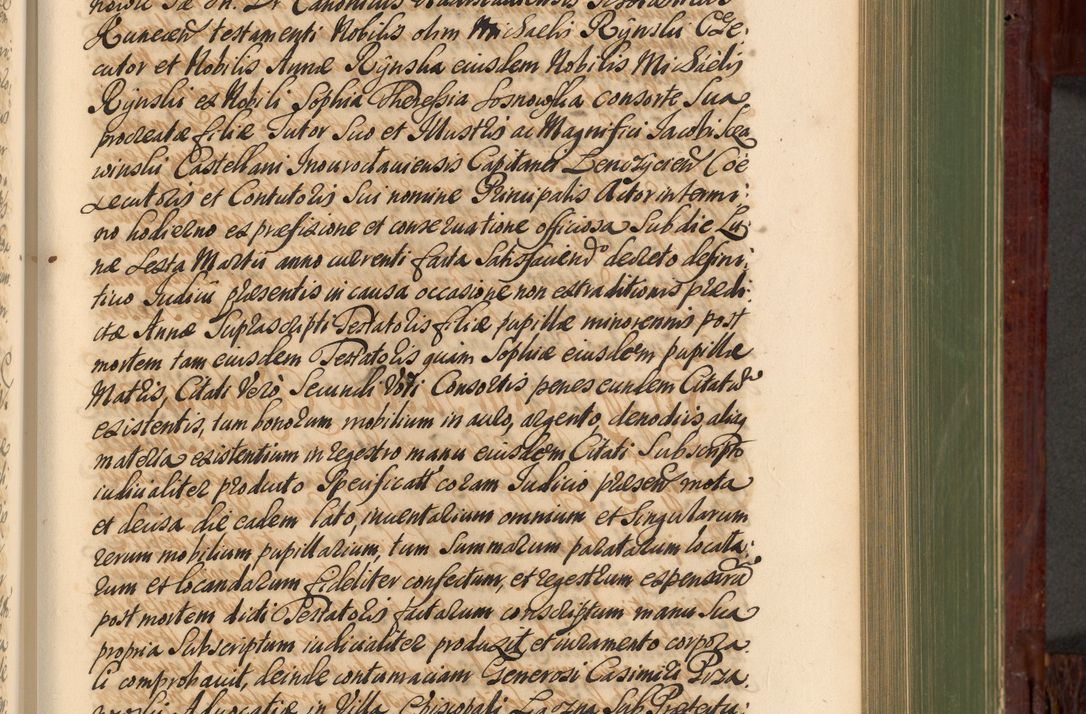 Zdjęcie nr 526 dla obiektu archiwalnego: Acta actorum episcopalium R. D. Andreae Trzebicki, episcopi Cracoviensis et ducis Severiae de 1679. Volumen VIII