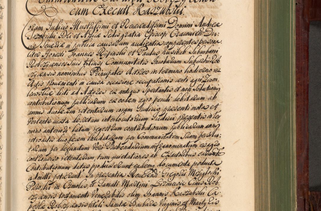 Zdjęcie nr 498 dla obiektu archiwalnego: Acta actorum episcopalium R. D. Andreae Trzebicki, episcopi Cracoviensis et ducis Severiae de 1679. Volumen VIII