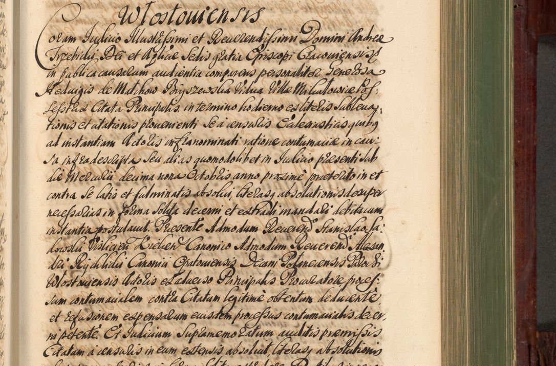 Zdjęcie nr 494 dla obiektu archiwalnego: Acta actorum episcopalium R. D. Andreae Trzebicki, episcopi Cracoviensis et ducis Severiae de 1679. Volumen VIII
