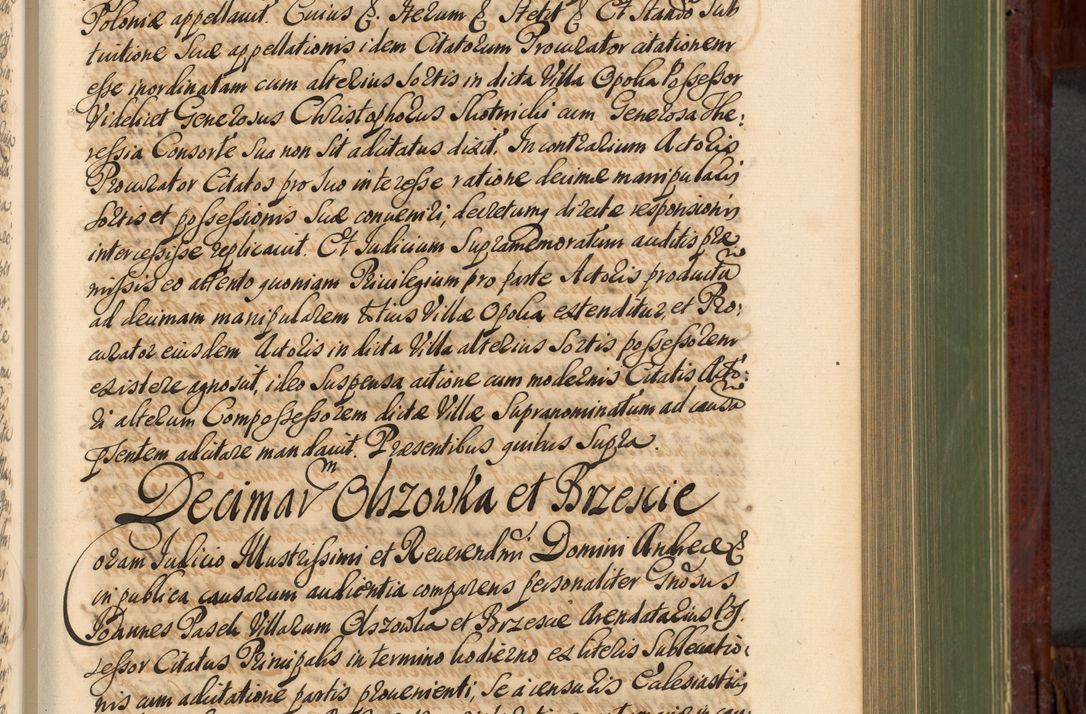 Zdjęcie nr 486 dla obiektu archiwalnego: Acta actorum episcopalium R. D. Andreae Trzebicki, episcopi Cracoviensis et ducis Severiae de 1679. Volumen VIII