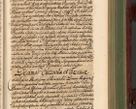 Zdjęcie nr 486 dla obiektu archiwalnego: Acta actorum episcopalium R. D. Andreae Trzebicki, episcopi Cracoviensis et ducis Severiae de 1679. Volumen VIII