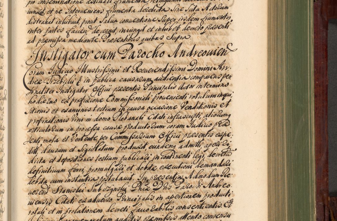 Zdjęcie nr 466 dla obiektu archiwalnego: Acta actorum episcopalium R. D. Andreae Trzebicki, episcopi Cracoviensis et ducis Severiae de 1679. Volumen VIII