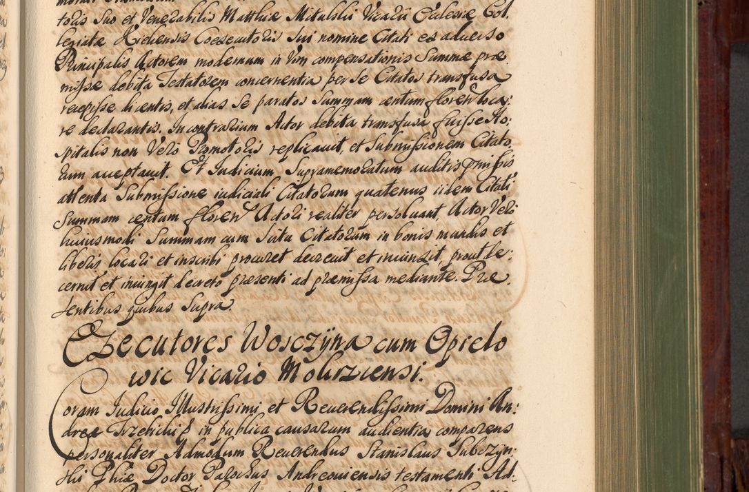 Zdjęcie nr 462 dla obiektu archiwalnego: Acta actorum episcopalium R. D. Andreae Trzebicki, episcopi Cracoviensis et ducis Severiae de 1679. Volumen VIII