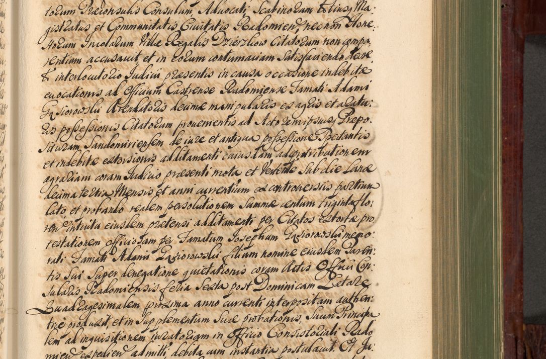Zdjęcie nr 460 dla obiektu archiwalnego: Acta actorum episcopalium R. D. Andreae Trzebicki, episcopi Cracoviensis et ducis Severiae de 1679. Volumen VIII