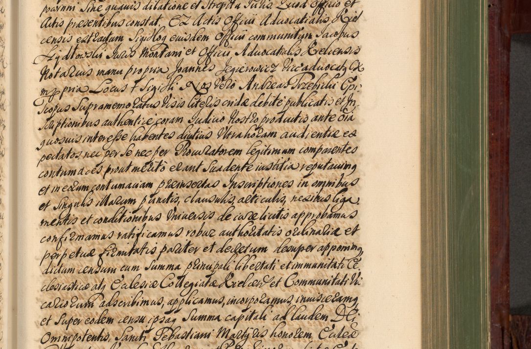 Zdjęcie nr 452 dla obiektu archiwalnego: Acta actorum episcopalium R. D. Andreae Trzebicki, episcopi Cracoviensis et ducis Severiae de 1679. Volumen VIII