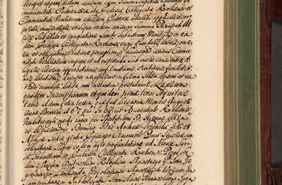 Zdjęcie nr 448 dla obiektu archiwalnego: Acta actorum episcopalium R. D. Andreae Trzebicki, episcopi Cracoviensis et ducis Severiae de 1679. Volumen VIII