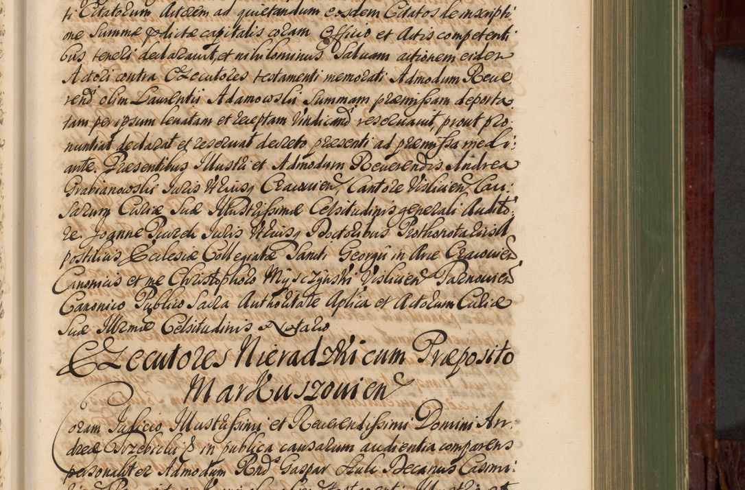 Zdjęcie nr 418 dla obiektu archiwalnego: Acta actorum episcopalium R. D. Andreae Trzebicki, episcopi Cracoviensis et ducis Severiae de 1679. Volumen VIII